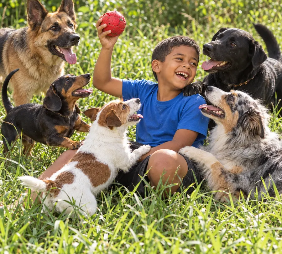 Antonio brincando com animais